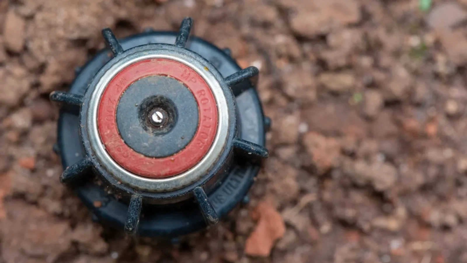 Drip Irrigation Basics