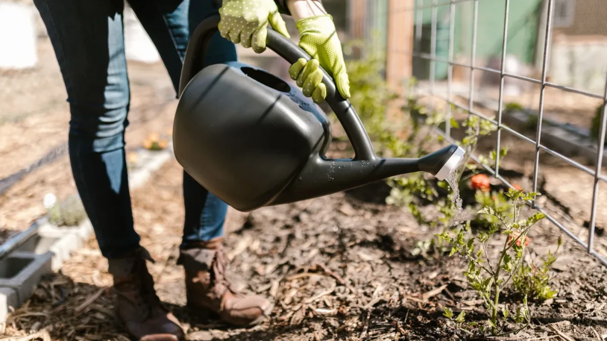 How to Calculate Plant Water Needs for Drip
