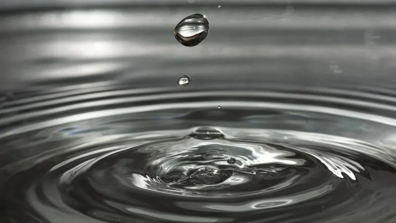 Assemble a Drip System Head: Order of Parts
