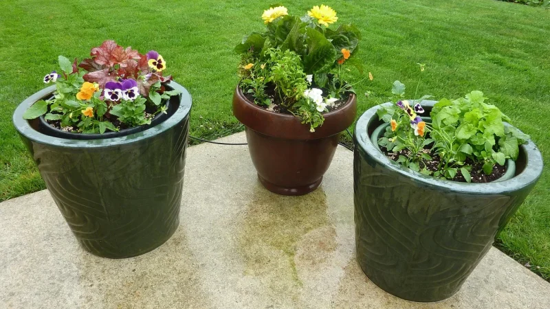 Set Up Drip Irrigation for a Container Garden