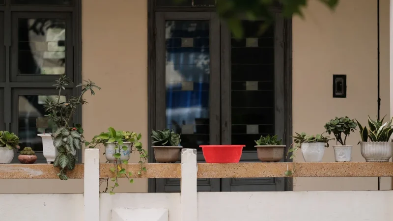 Drip Irrigation for Renters and Apartments