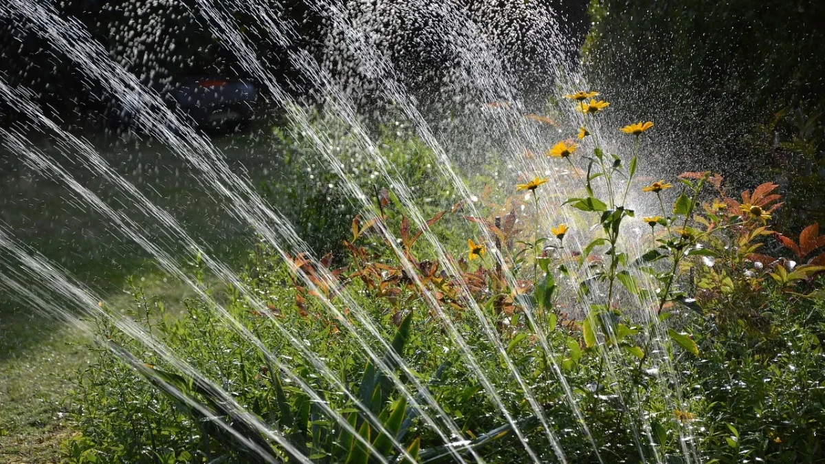 Drip Irrigation Troubleshooting: Fix Common Problems