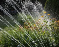 Drip Irrigation Troubleshooting: Fix Common Problems