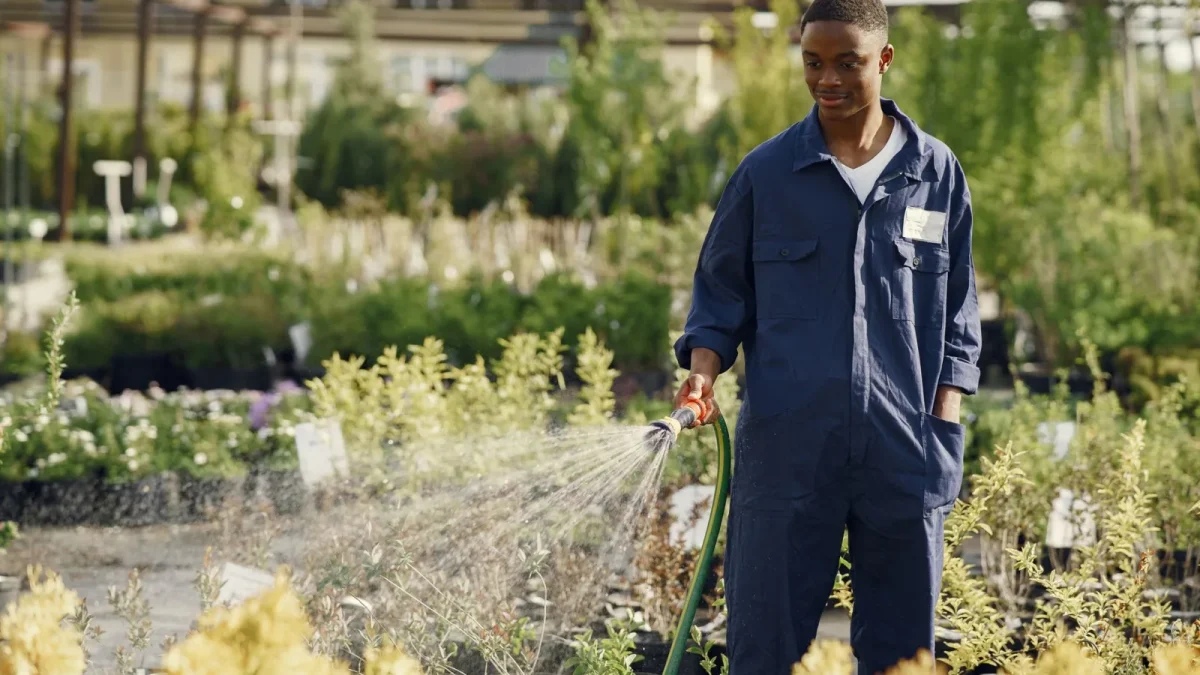 Beginner Drip Irrigation Planning Mistakes