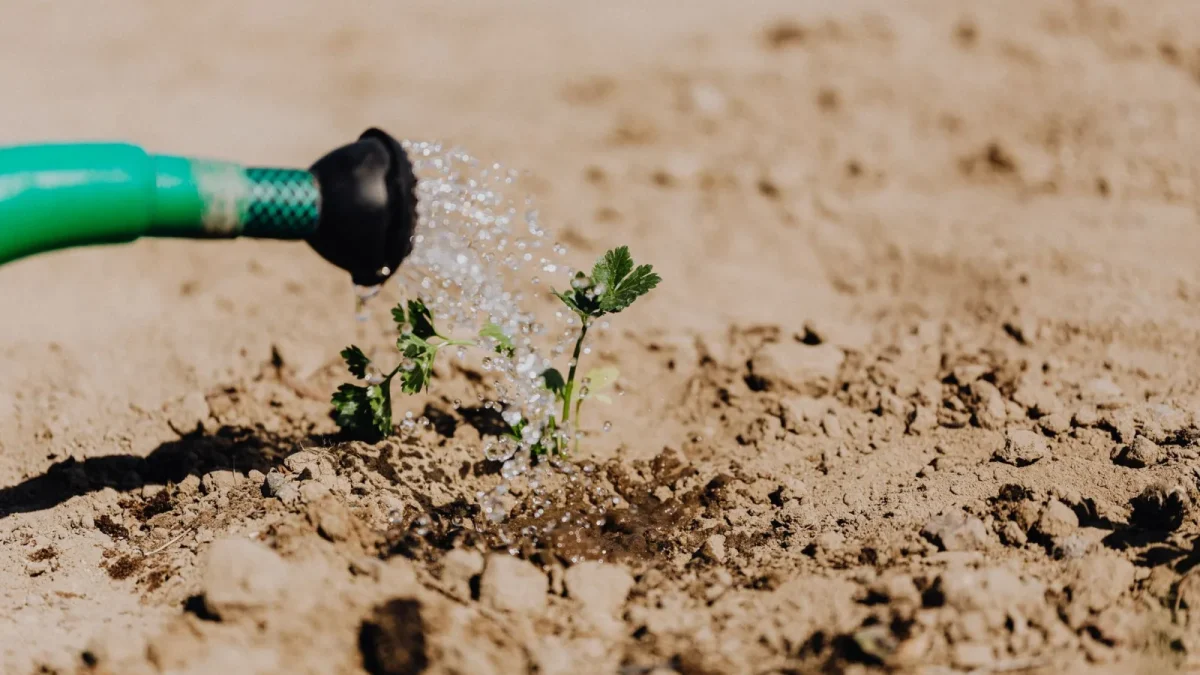 How Long to Run Drip Irrigation