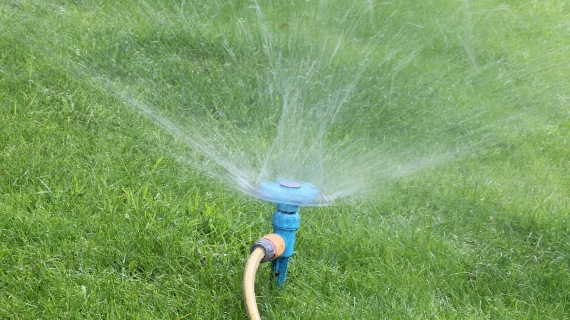 Drip vs Sprinkler vs Soaker Hose