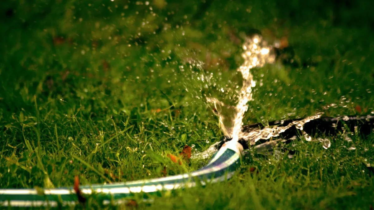 How Much Water Does Drip Irrigation Save
