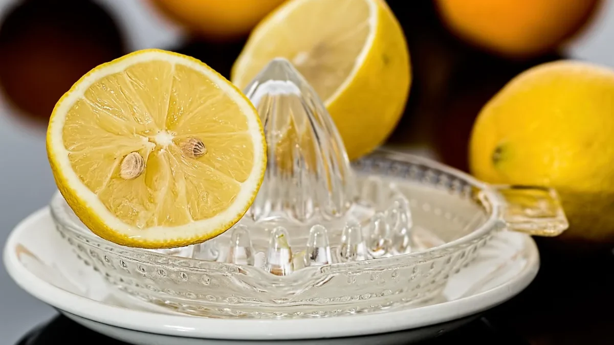 Drip Watering Potted Citrus: A Schedule