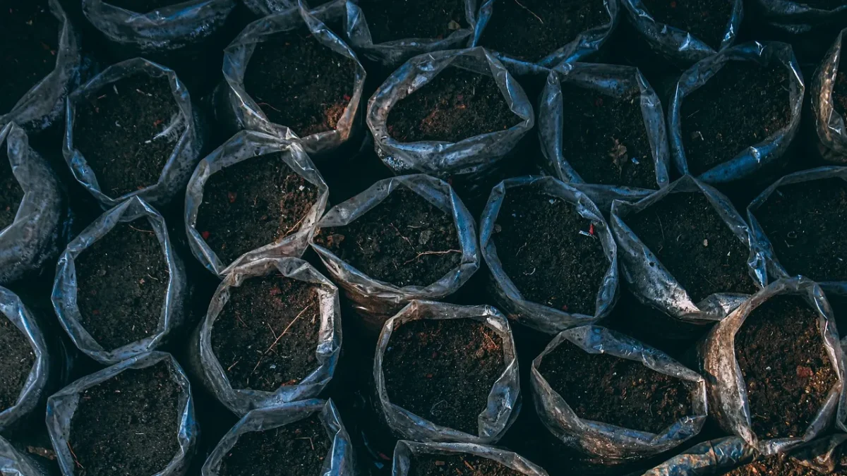 Grouping Container Plants by Water Need