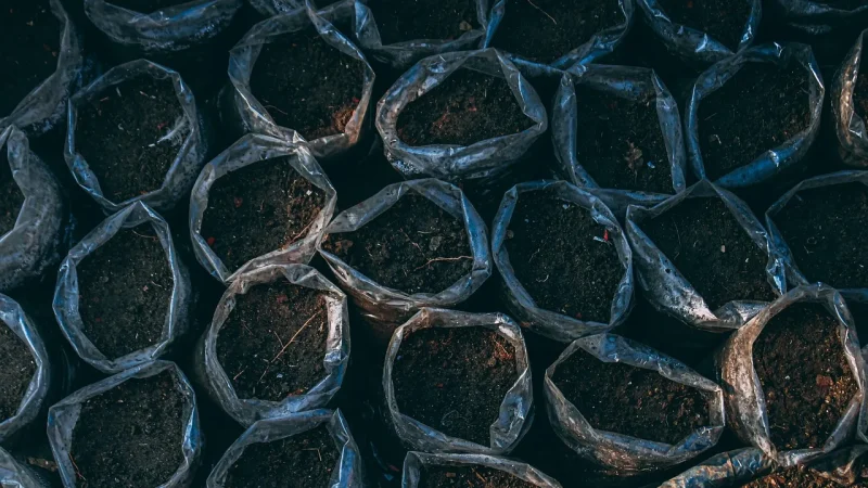 Grouping Container Plants by Water Need