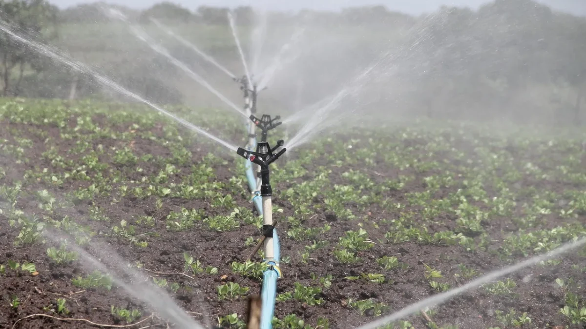 Clearing Hard-Water Mineral Clogs in Drip Lines