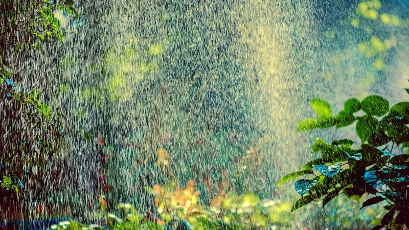 Micro-Sprays and Micro-Sprinklers Compared
