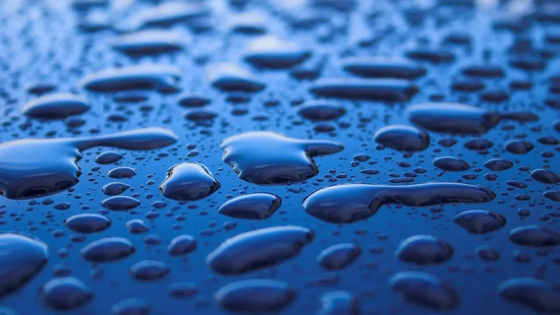 Best Watering Frequency and Duration for Drip