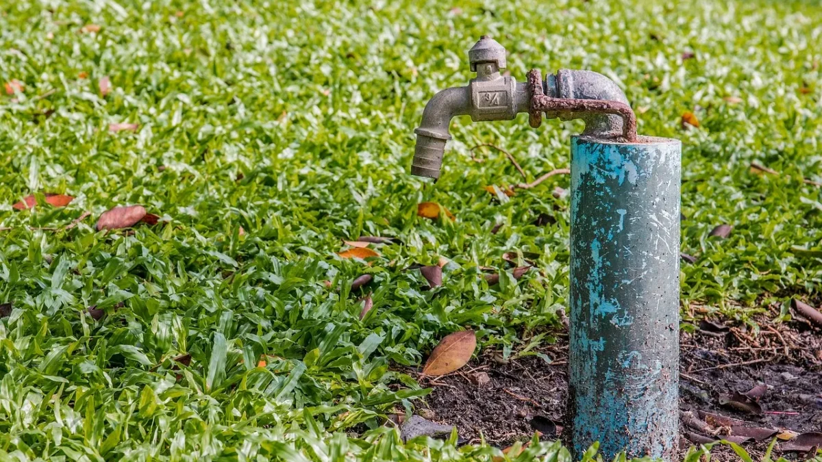 A backflow preventer and pressure regulator attached to an outdoor hose bib at a drip system head