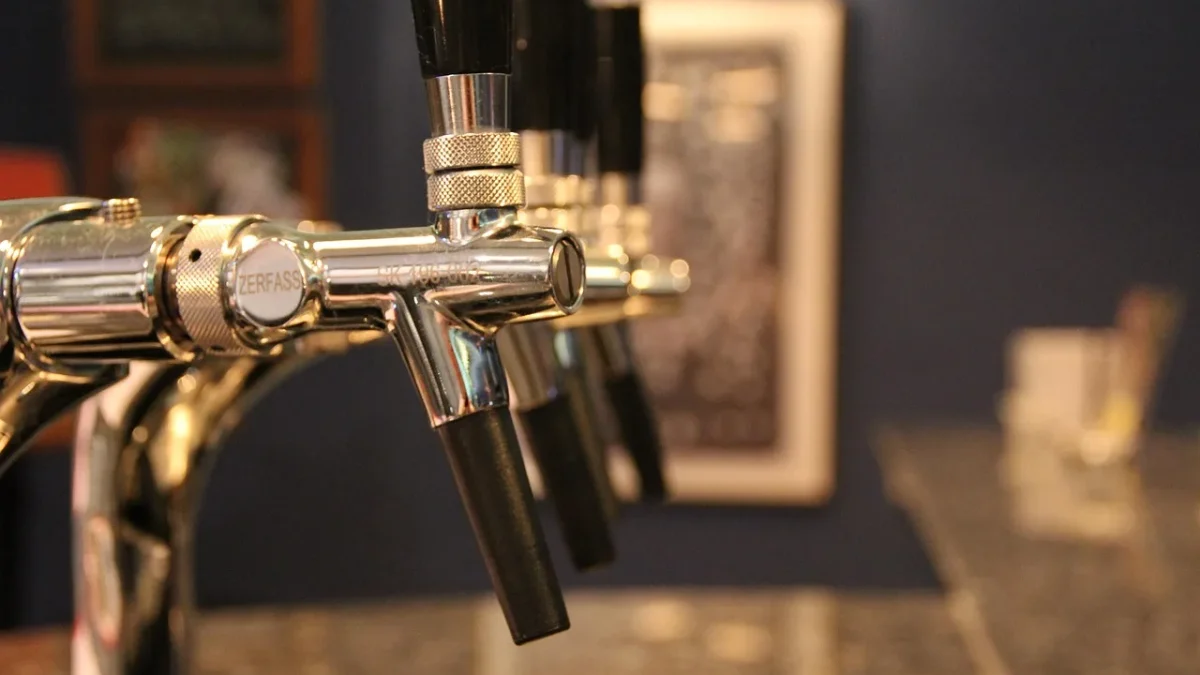 Faucet assembly showing vacuum breaker, timer, filter, and pressure regulator in order