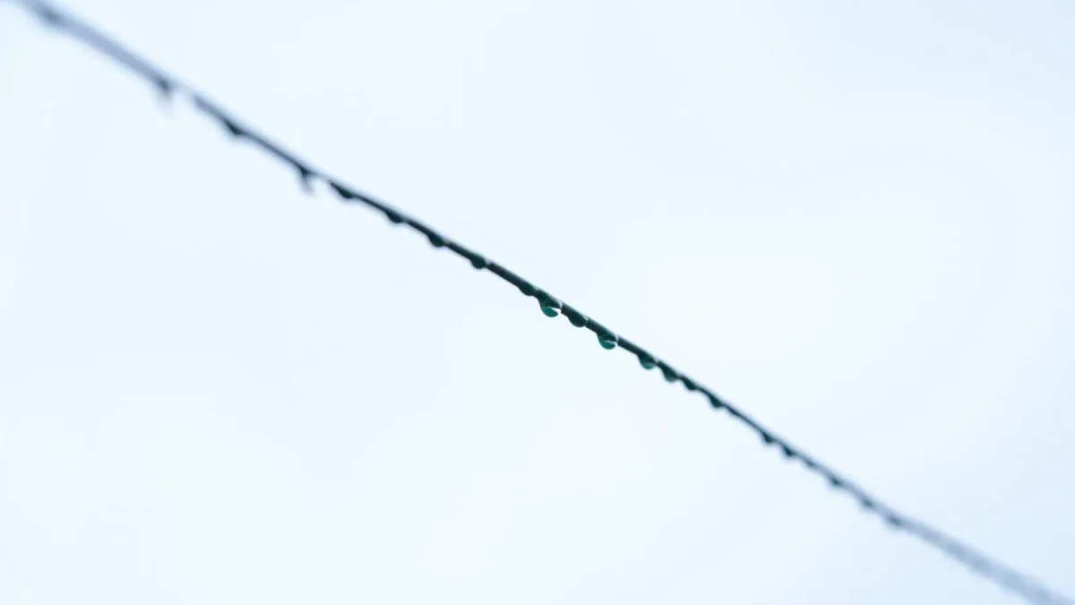 Quarter inch drip tubing with an emitter dripping water at the base of a garden plant