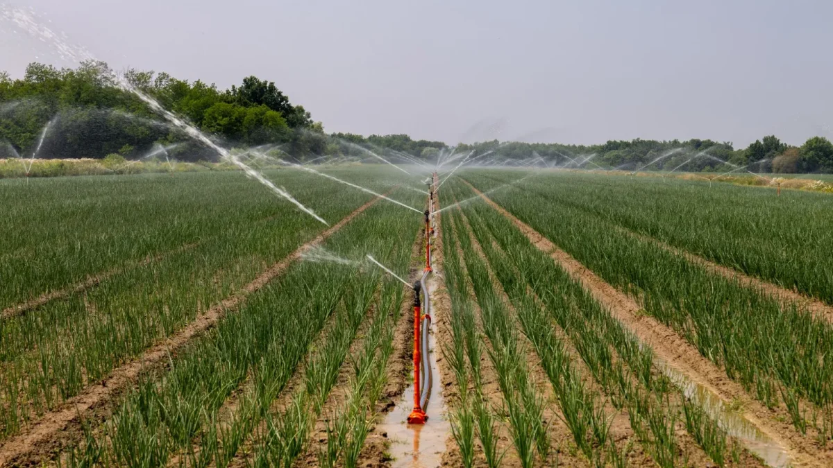 A garden spigot fitted with a timer, filter, and pressure regulator for a drip irrigation system