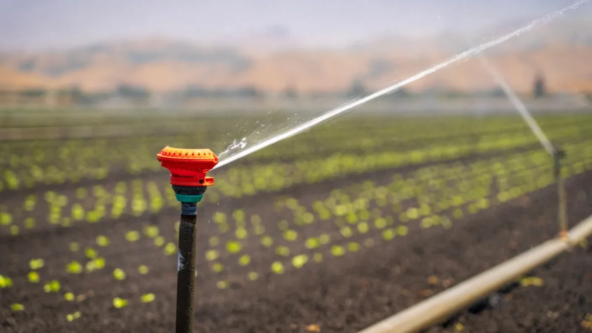 A beginner drip irrigation kit laid out with half inch tubing, a filter, and a pressure regulator