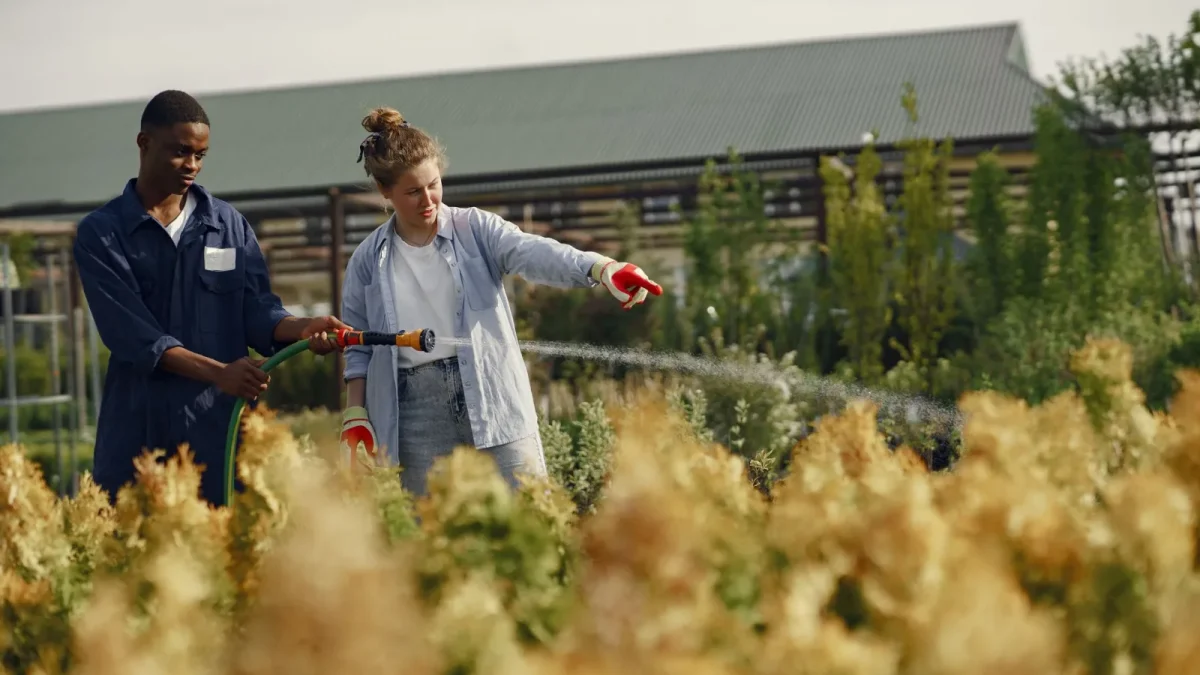 Porous soaker hose weaving through a densely planted vegetable row