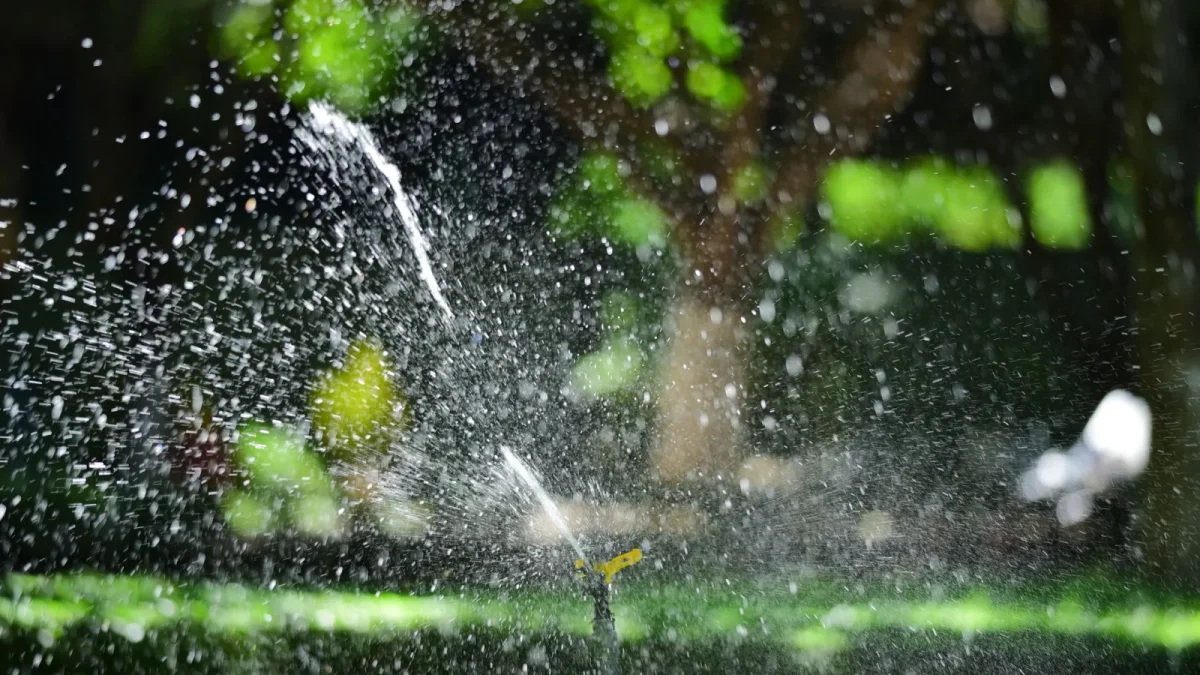 A garden sprinkler spraying water into the air with visible drift over a path