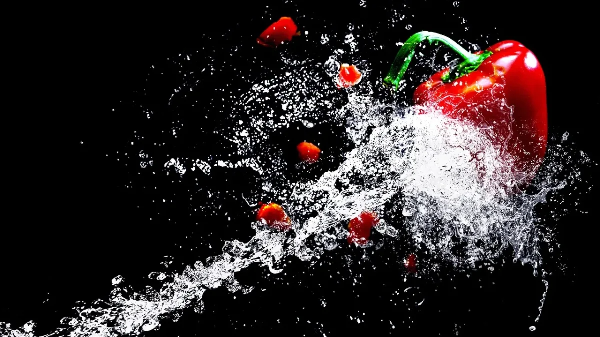 Drip emitter releasing water at the base of a green pepper plant in mulched soil