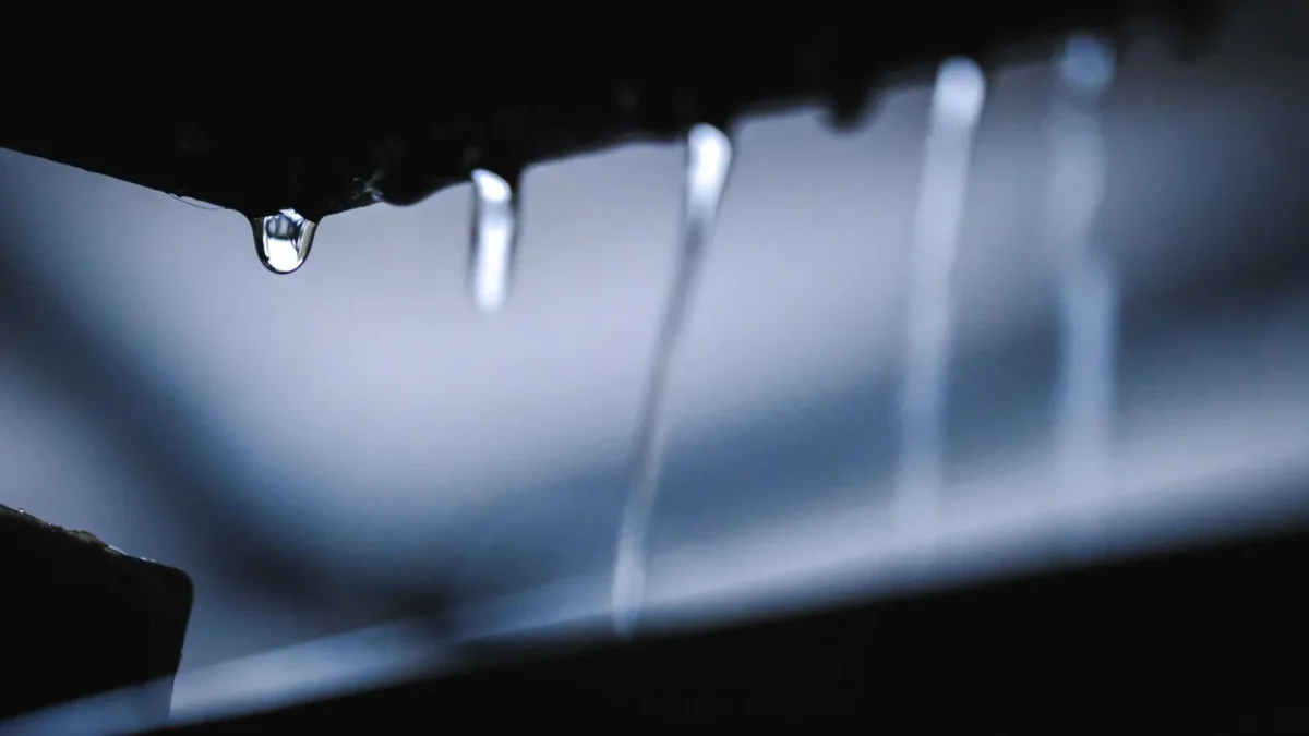 Close-up of a black drip emitter releasing a single water drop onto dark garden soil