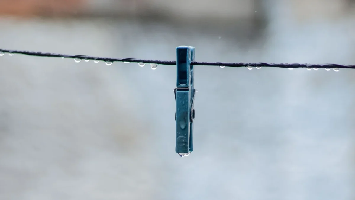 Half inch drip mainline tubing with quarter inch branch lines running to garden plants