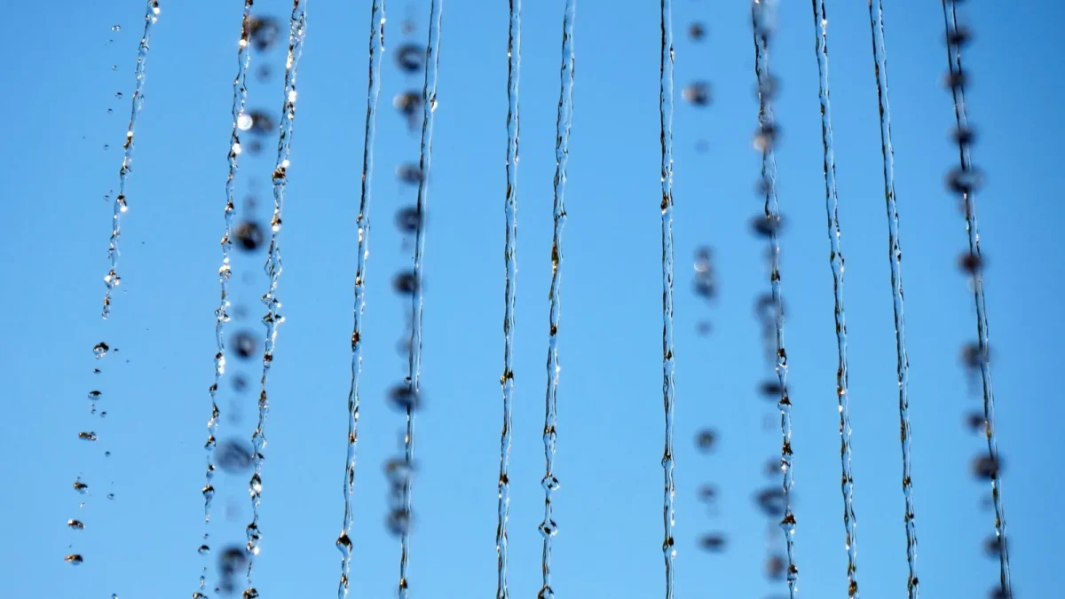Close-up of a black drip emitter connected to quarter inch tubing at the base of a tomato plant