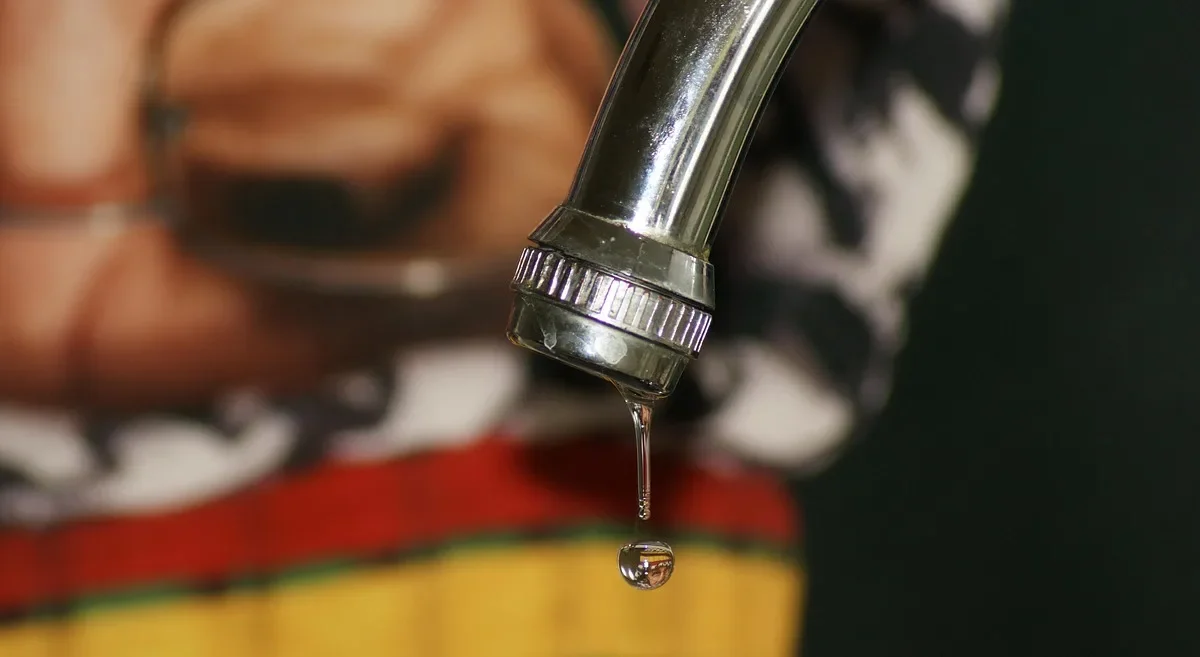 Close-up of a drip emitter and connection point being inspected for leaks along garden tubing