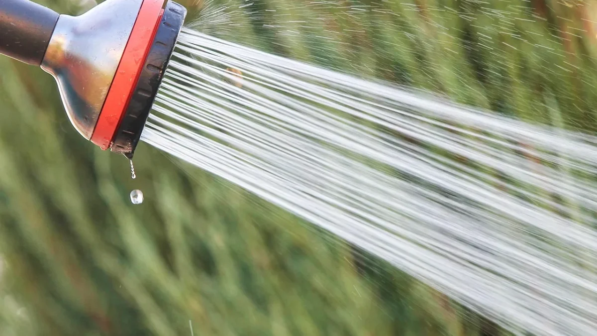A gardener setting the run time and days on a digital drip irrigation timer attached to an outdoor faucet